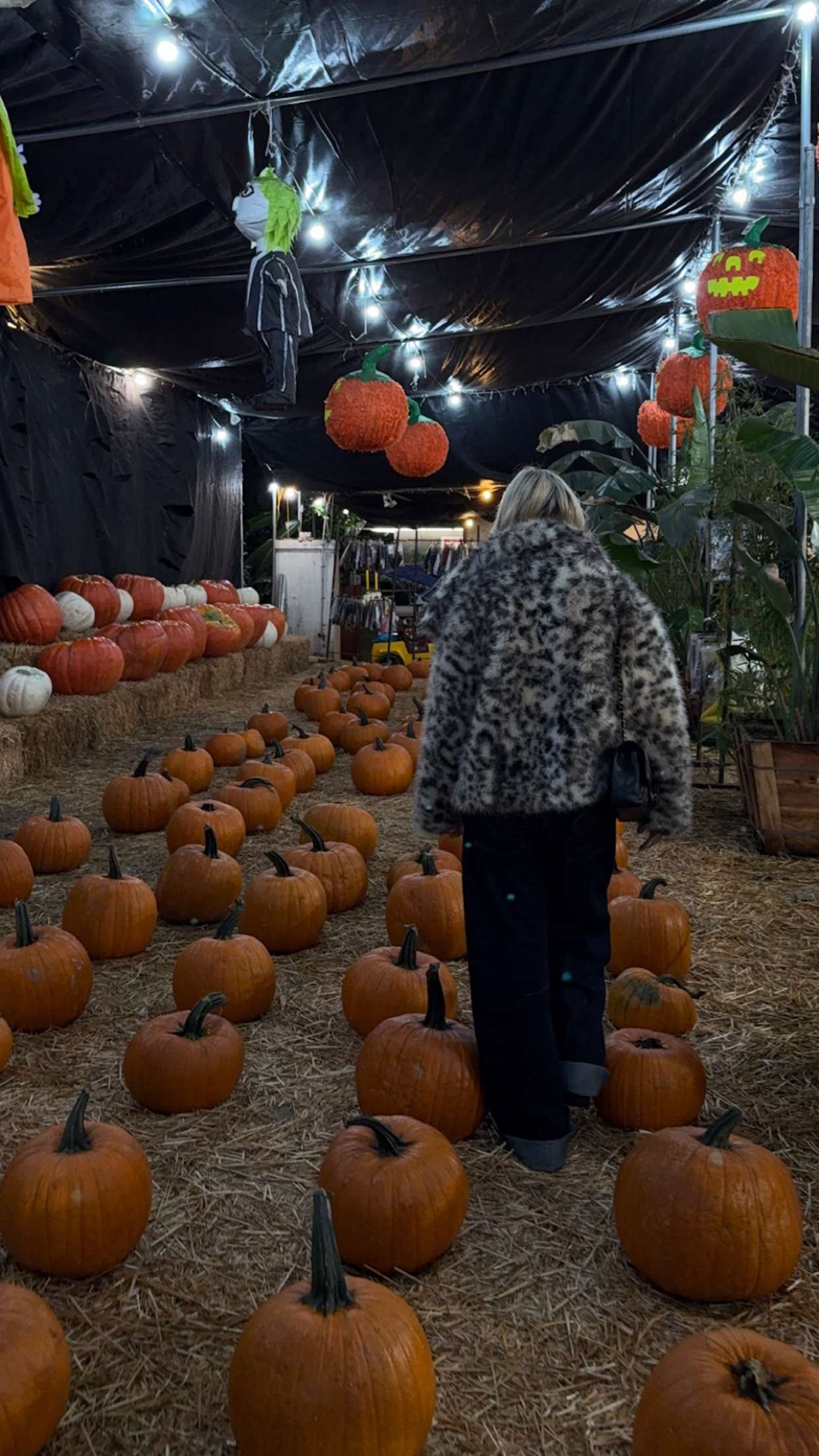 gwendolynceline snapchat image archive image