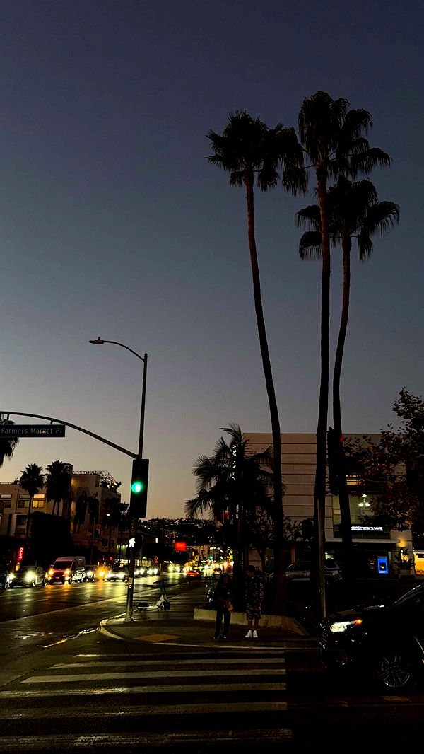 gwendolynceline image ~ Altpins