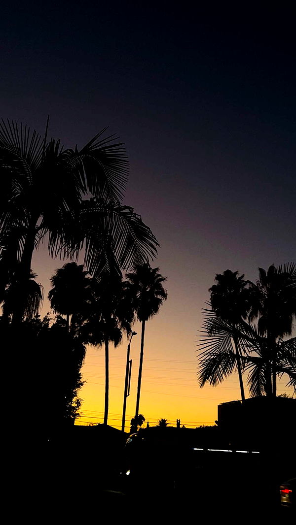 gwendolynceline image ~ Altpins