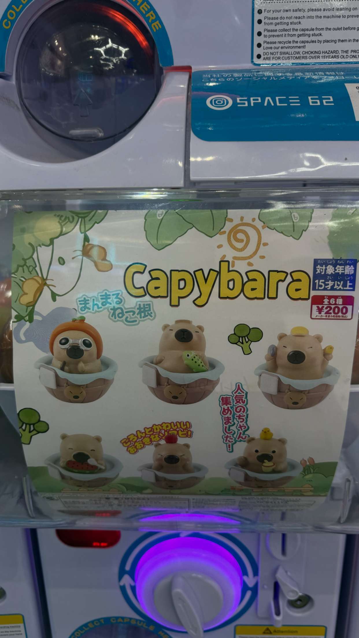 gwendolynceline snapchat image archive image