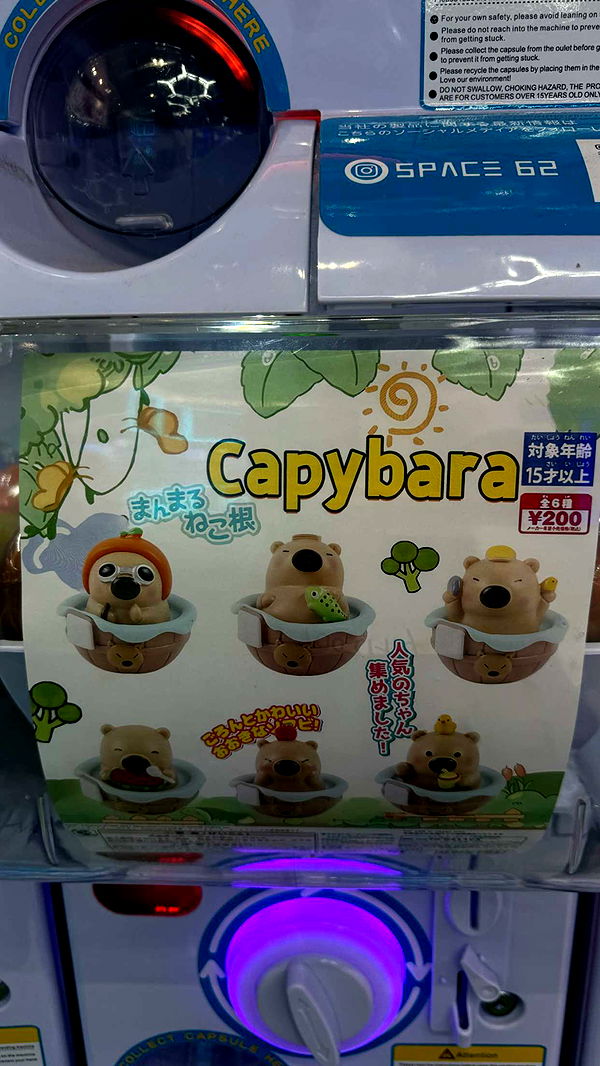 gwendolynceline image ~ Altpins