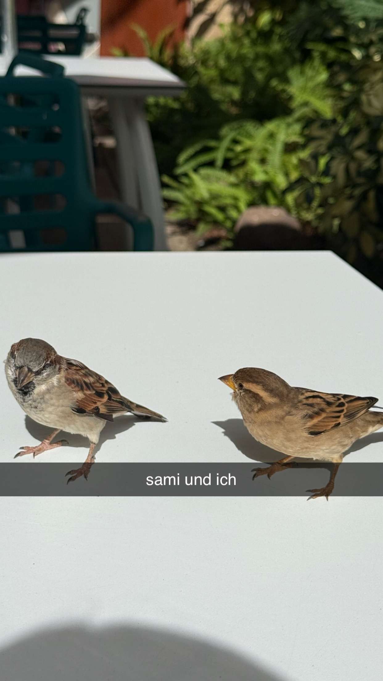 gwendolynceline snapchat image archive image