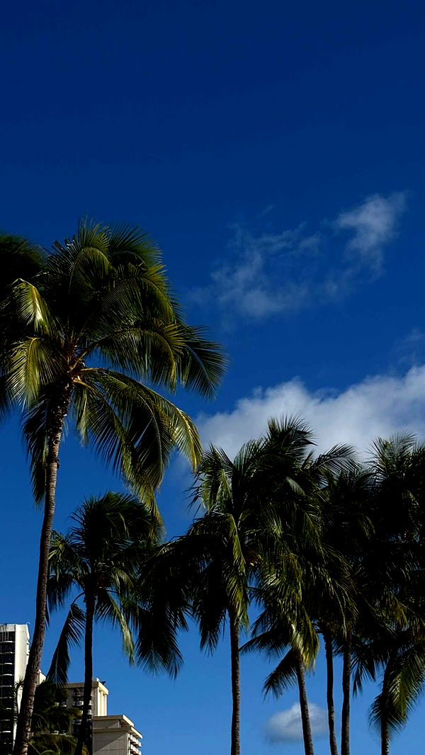 gwendolynceline image ~ Altpins