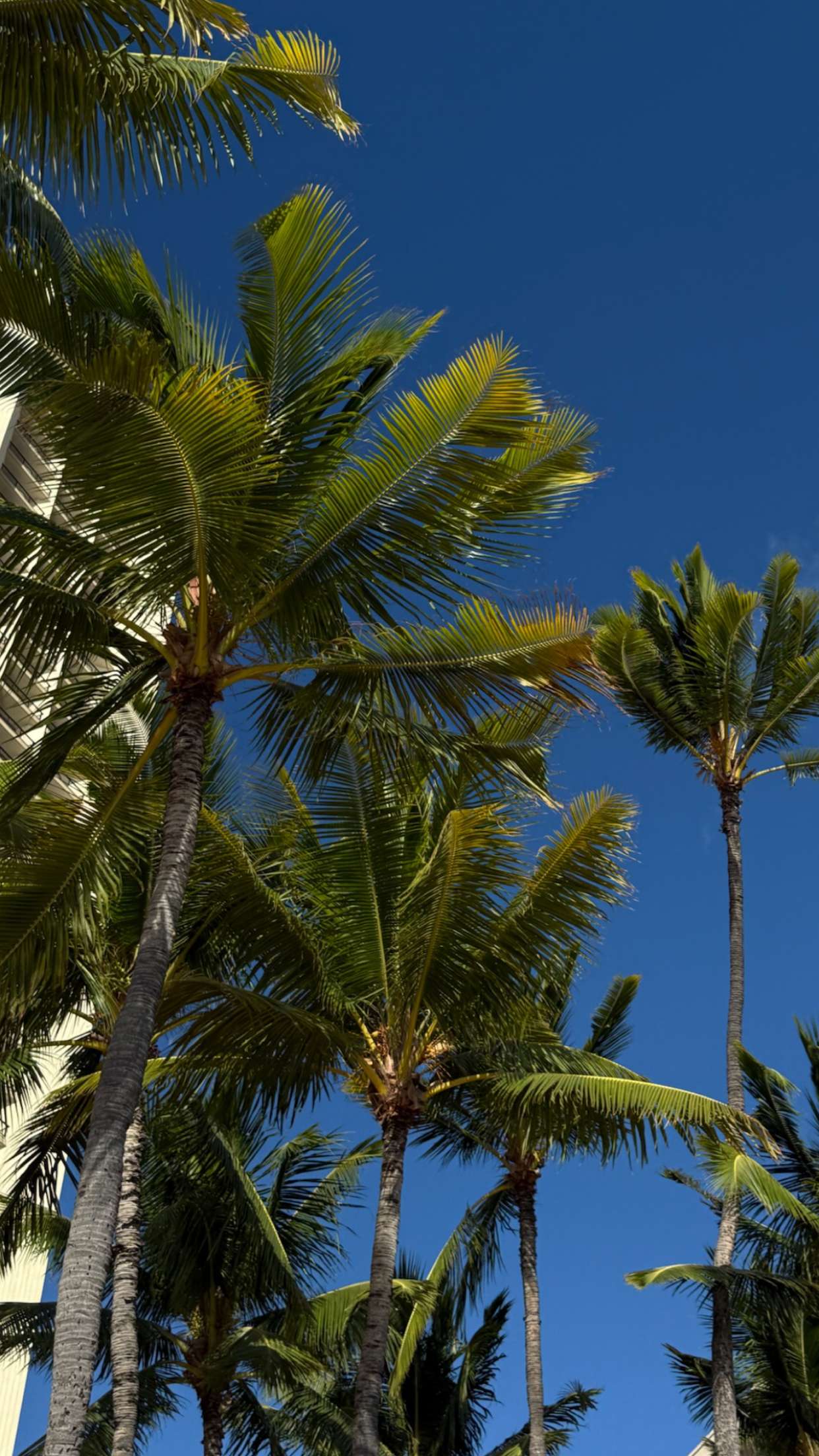 gwendolynceline snapchat image archive image