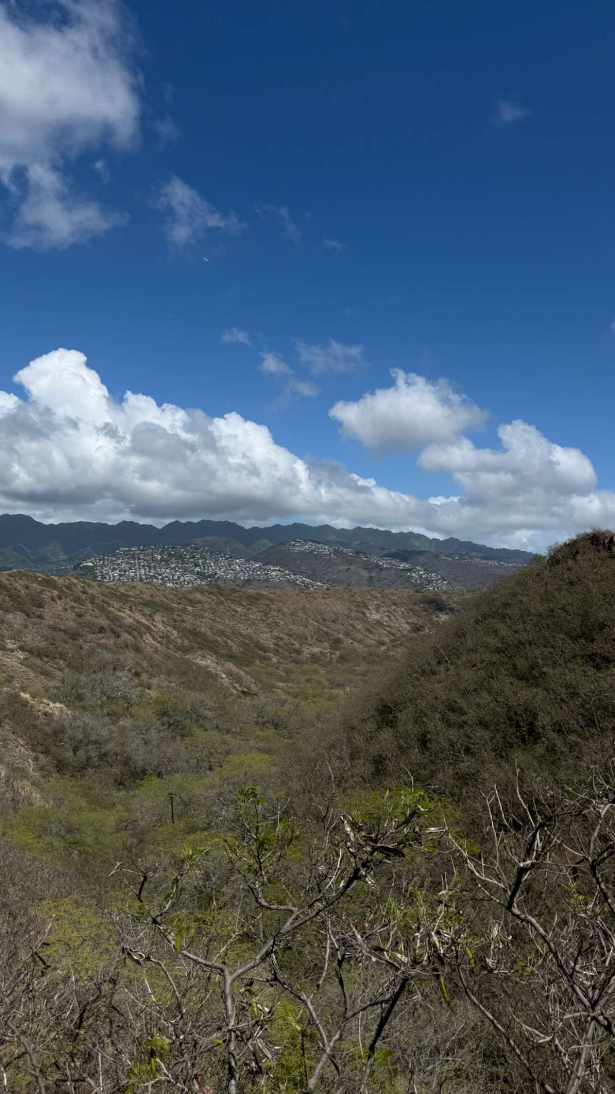 gwendolynceline snapchat image archive image