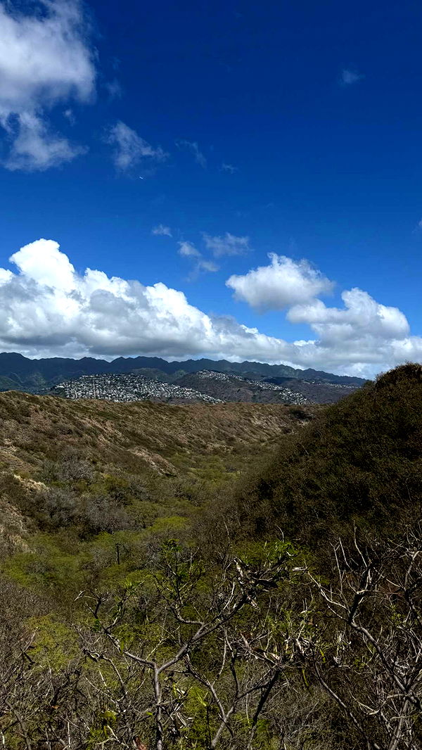 gwendolynceline image ~ Altpins