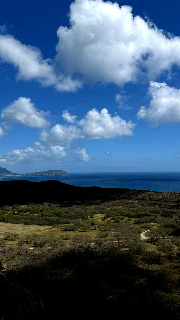 gwendolynceline image ~ Altpins