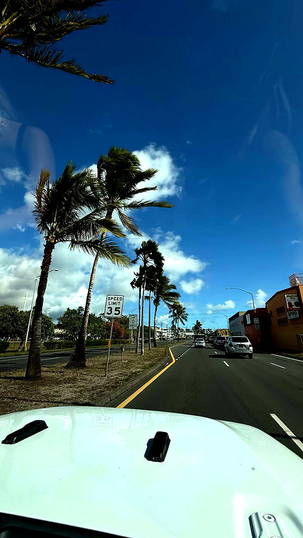 gwendolynceline image ~ Altpins