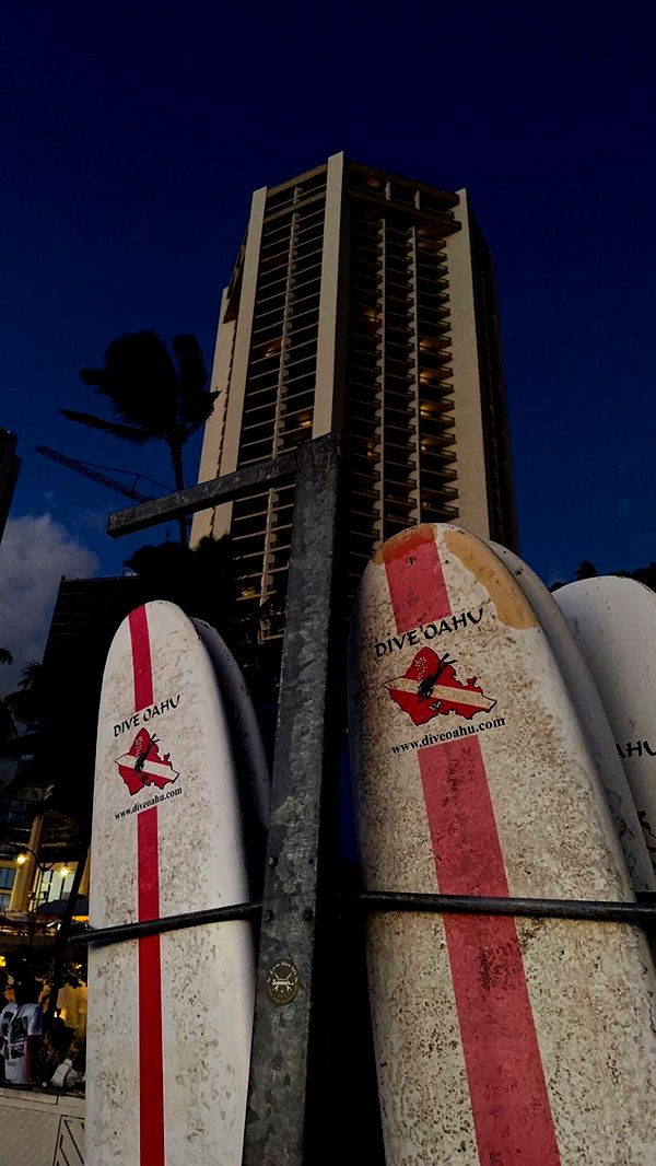 gwendolynceline image ~ Altpins