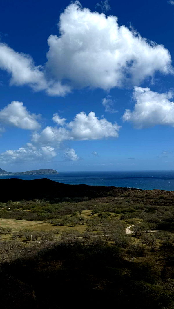 gwendolynceline image ~ Altpins