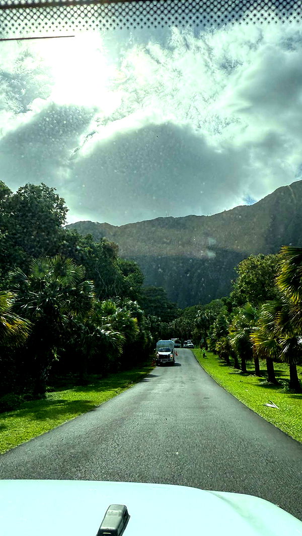 gwendolynceline image ~ Altpins