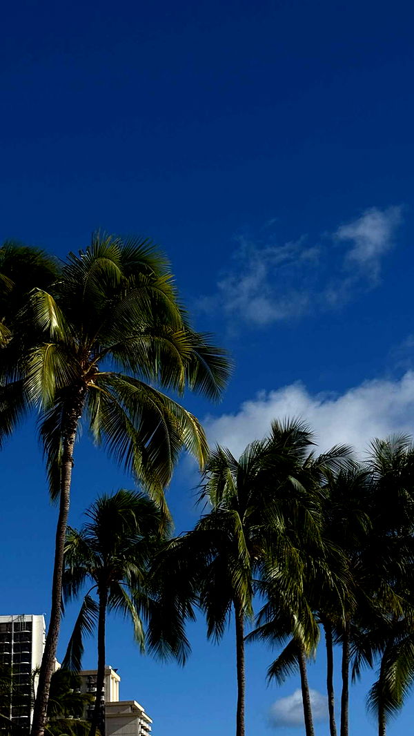 gwendolynceline image ~ Altpins