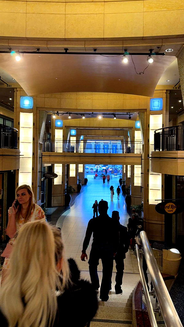 gwendolynceline image ~ Altpins