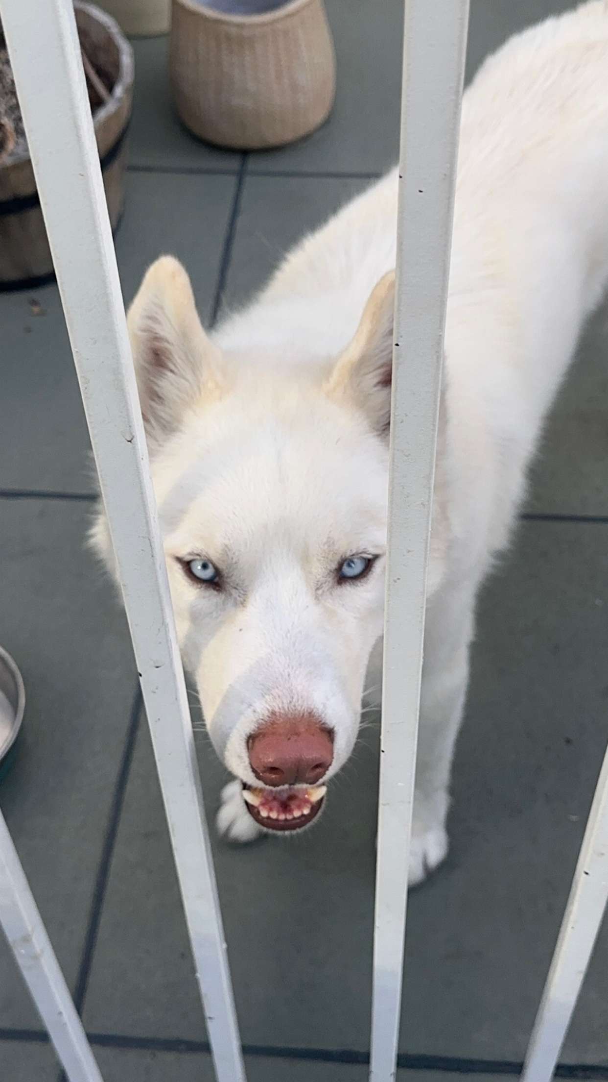 gwendolynceline snapchat image archive image