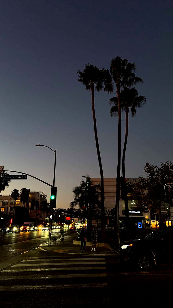 gwendolynceline image ~ Altpins