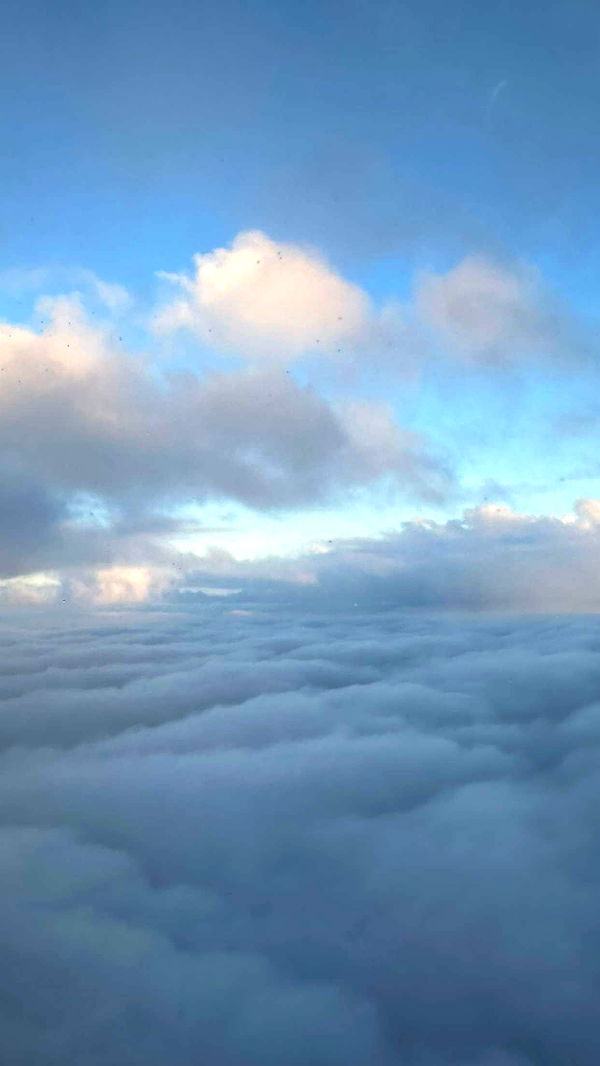 gwendolynceline image ~ Altpins