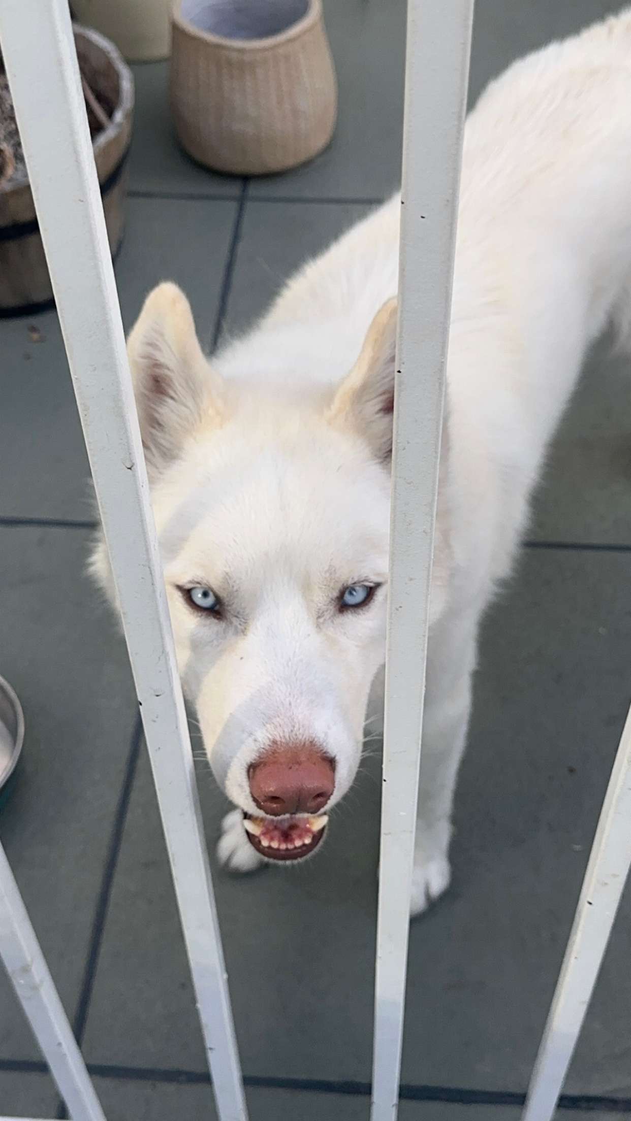 gwendolynceline snapchat image archive image