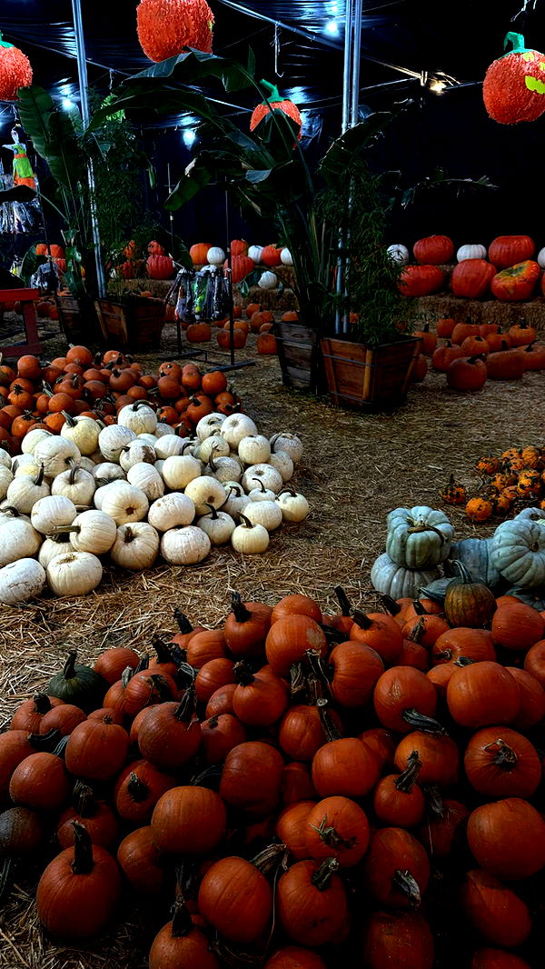 gwendolynceline image ~ Altpins