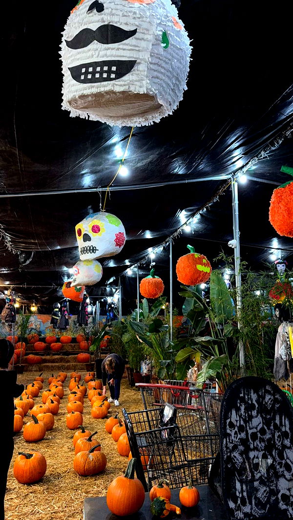 gwendolynceline image ~ Altpins