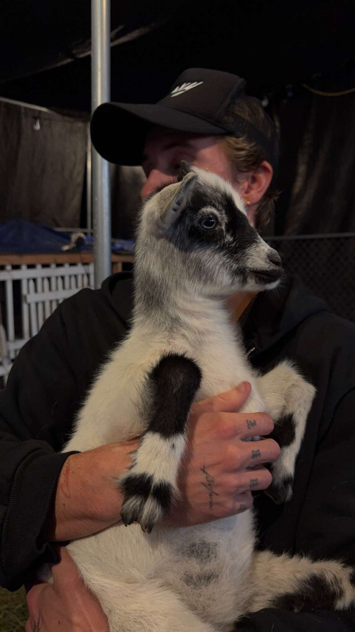 gwendolynceline snapchat image archive image