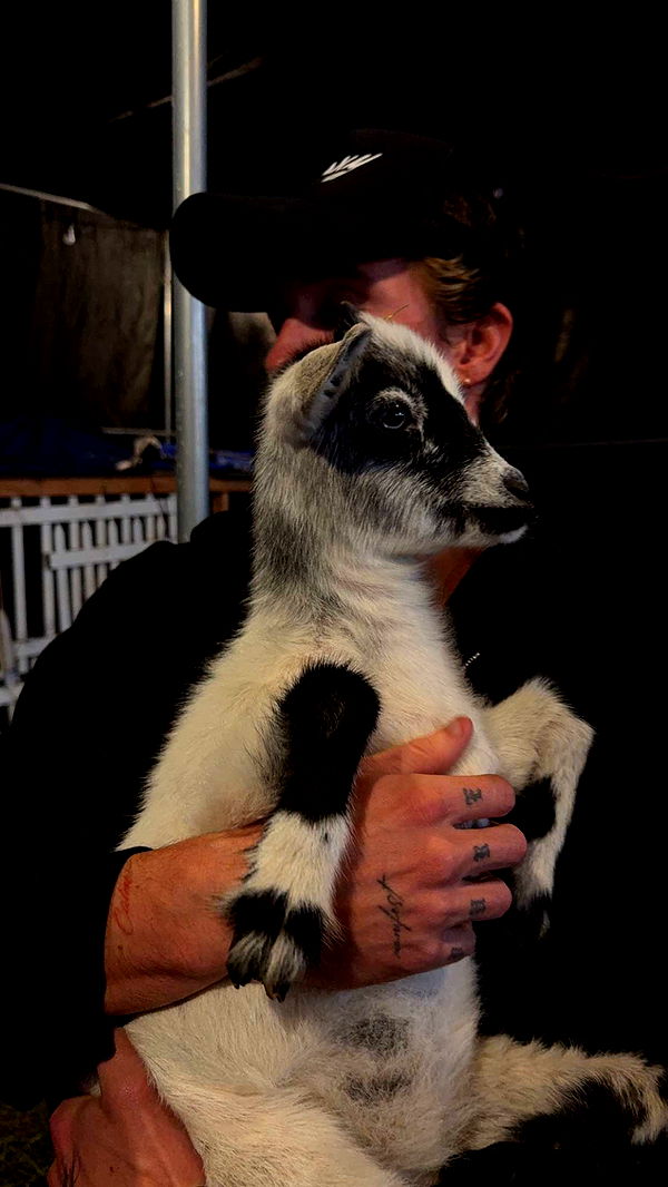 gwendolynceline image ~ Altpins