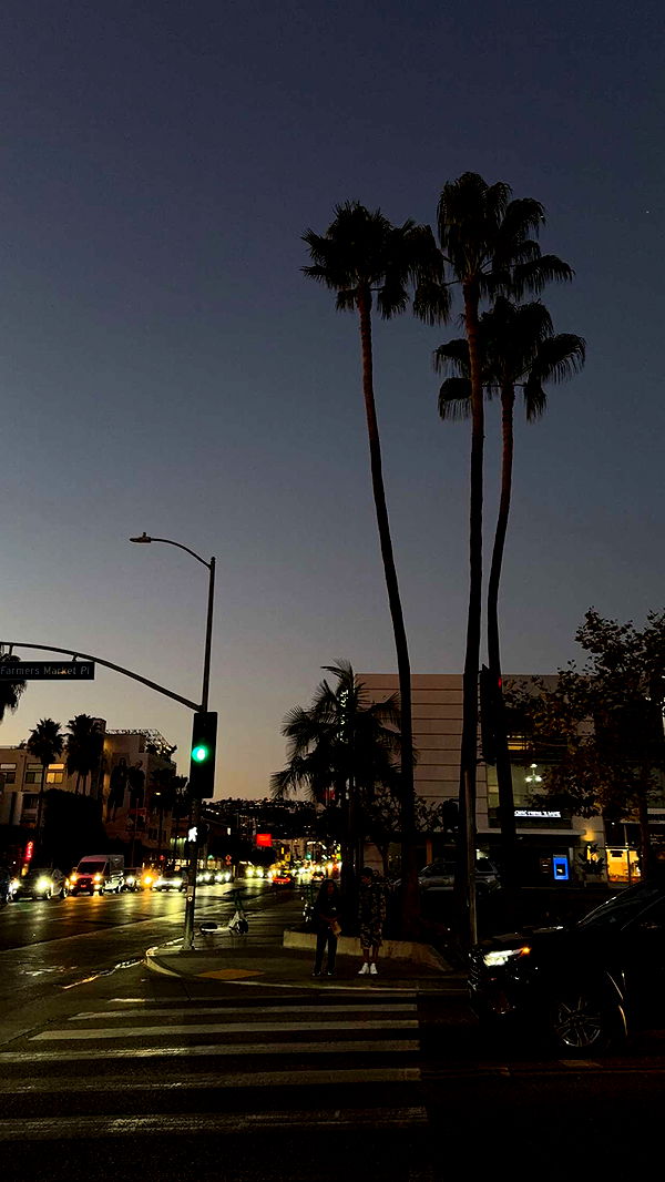 gwendolynceline image ~ Altpins