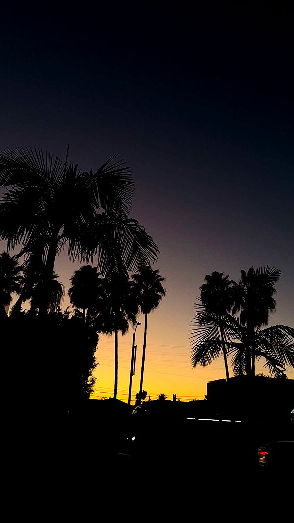 gwendolynceline image ~ Altpins