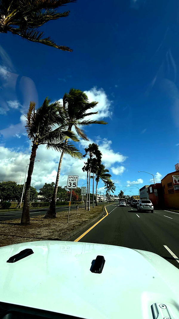 gwendolynceline image ~ Altpins