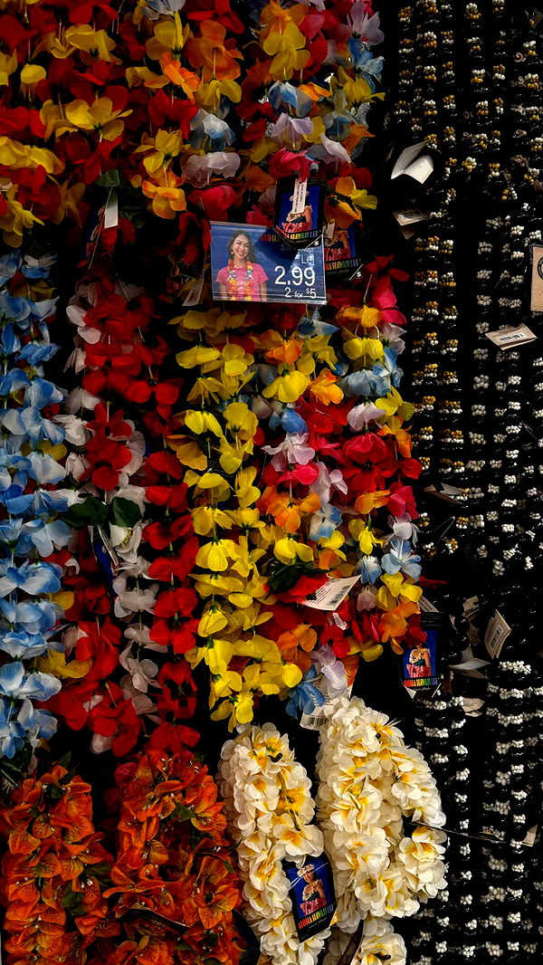 gwendolynceline image ~ Altpins