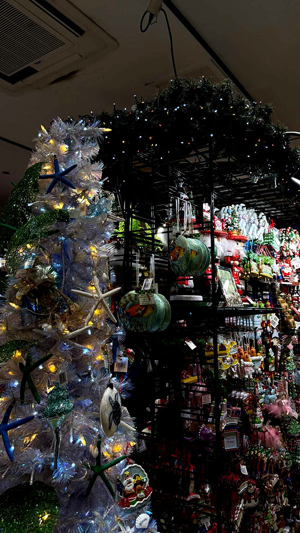 gwendolynceline image ~ Altpins