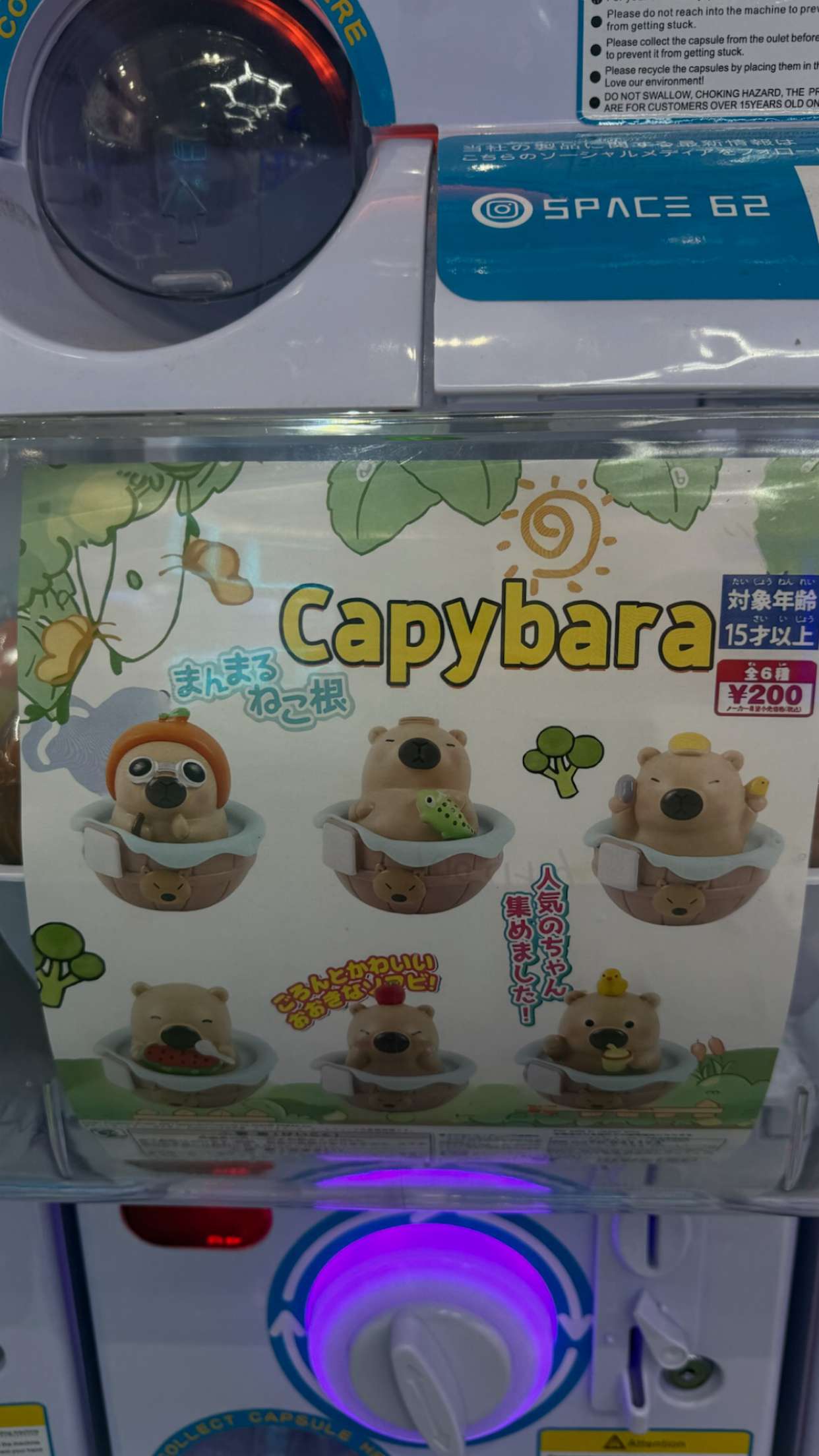 gwendolynceline snapchat image archive image