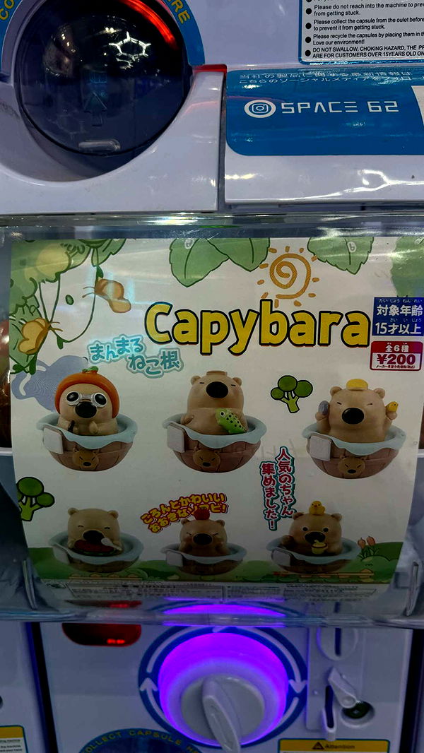 gwendolynceline image ~ Altpins