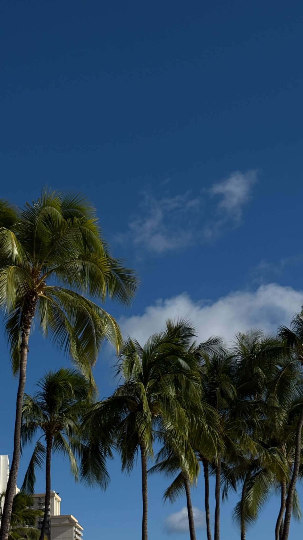 gwendolynceline snapchat image archive image