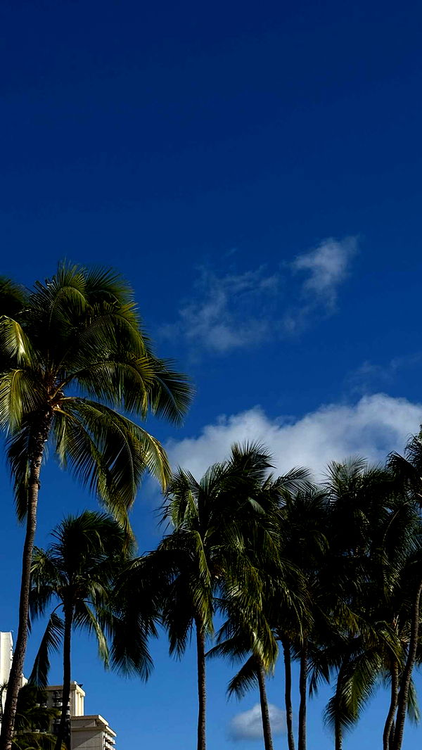 gwendolynceline image ~ Altpins