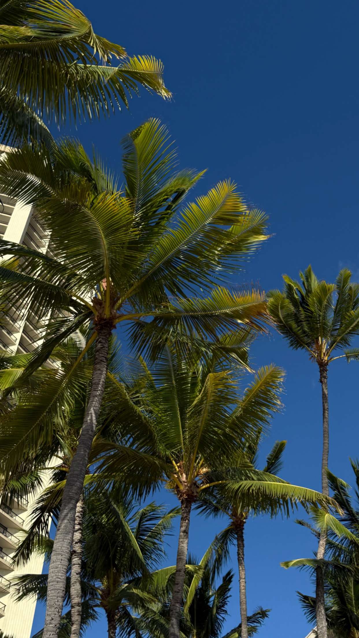 gwendolynceline snapchat image archive image