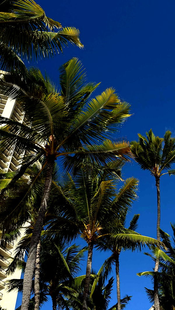 gwendolynceline image ~ Altpins