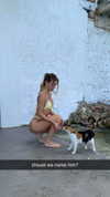 haileygrice Altpins Profile Picture