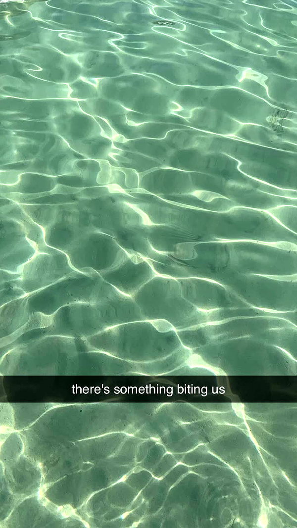 haileygrice snapchat image archive image