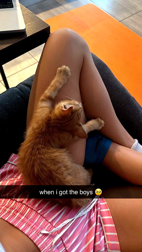 haileygrice snapchat image archive image
