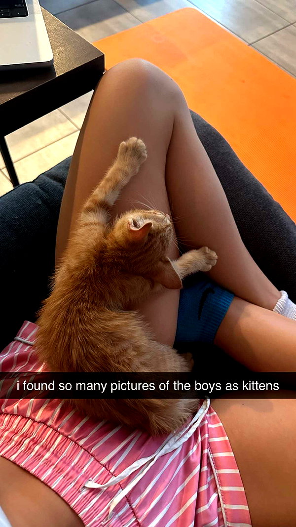 haileygrice snapchat image archive image