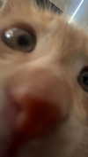 haileygrice Altpins Profile Picture