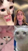 haileygrice Altpins Profile Picture