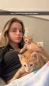haileygrice Altpins Profile Picture
