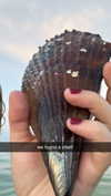haileygrice Altpins Profile Picture