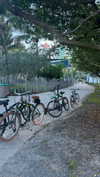 haileygrice Altpins Profile Picture