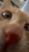 haileygrice Altpins Profile Picture
