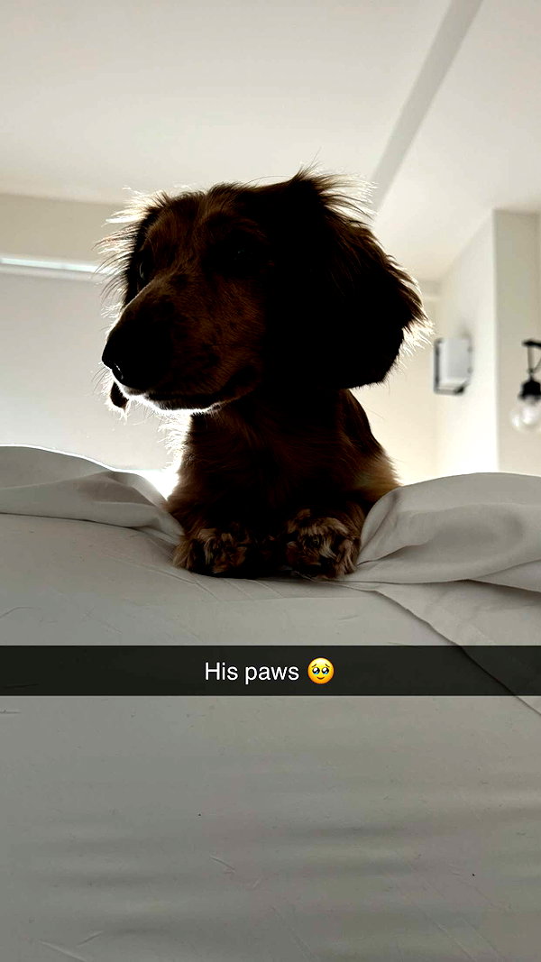 haileygrice snapchat image archive image