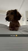 haileygrice Altpins Profile Picture