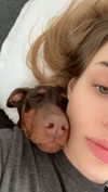 haileygrice Altpins Profile Picture