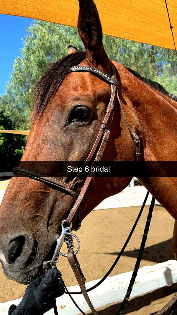 imchloebleu snapchat image archive image